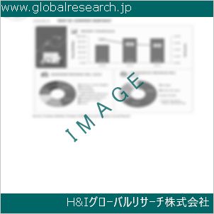 グローバルリサーチ調査資料のイメージ